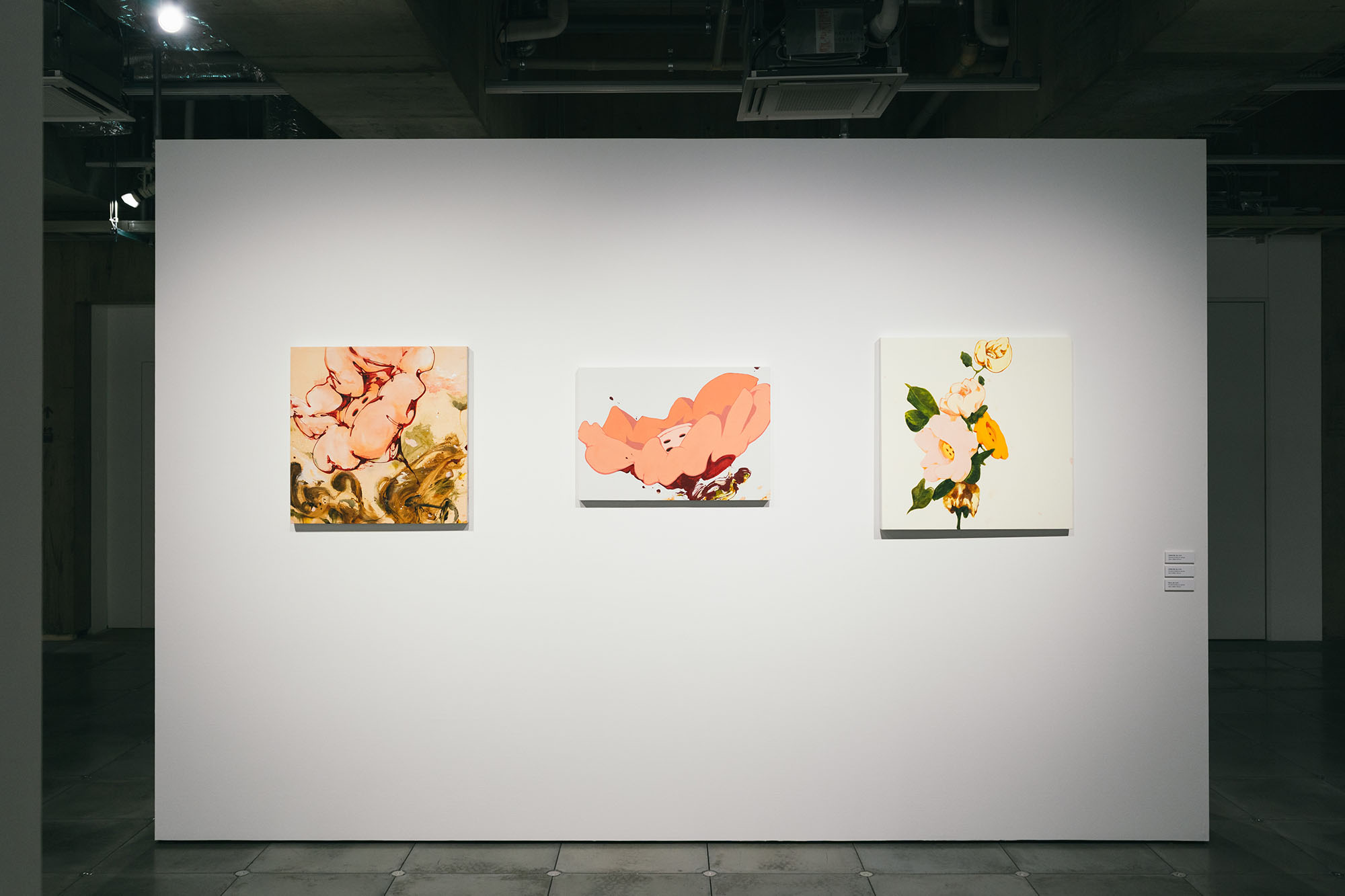 展示されている作品の写真。「HANA-MI_02」「HANA-MI_06」「Rinne_02」Oil and oil stick on canvas, 2026。
