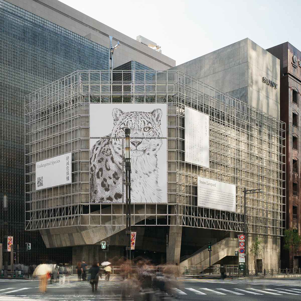 GRID FRAME「絶滅危惧種」のキービジュアル。