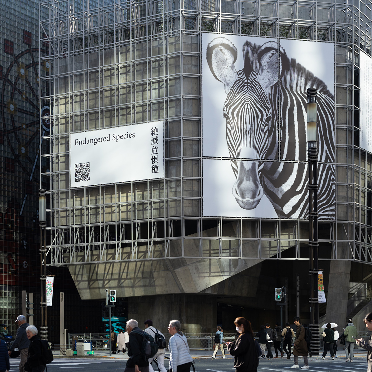 グレビーシマウマの幕。