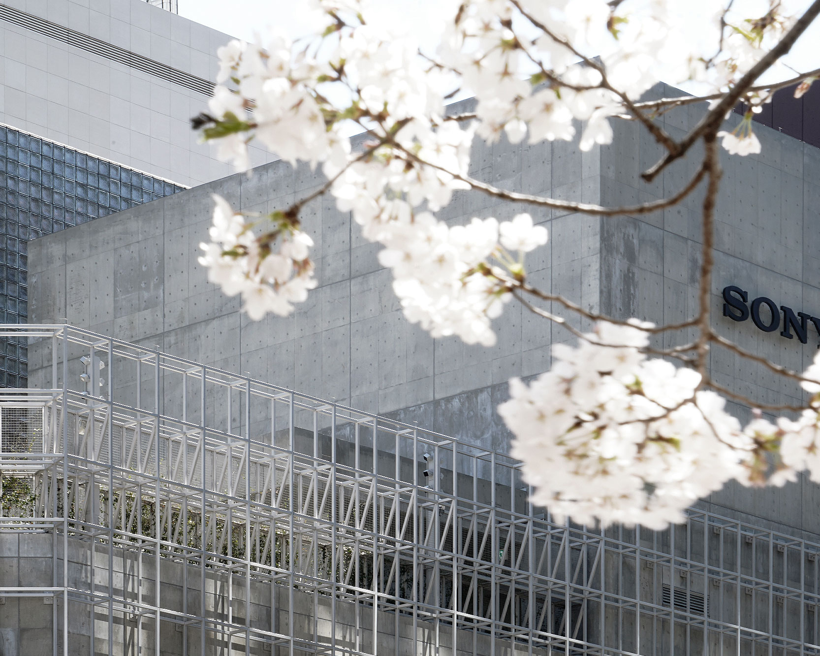 桜が咲いた枝の間から見えるGinza Sony Parkの外壁に掲示されているソニーロゴ。