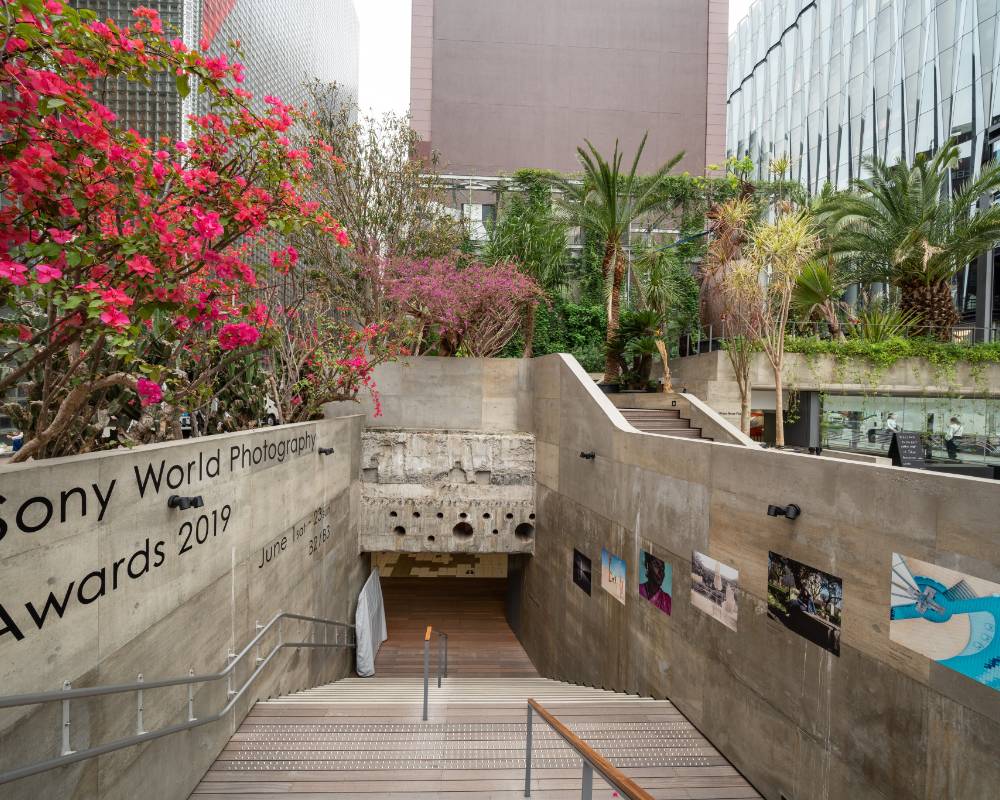 展示の様子。地上から地下へ降りる階段の壁面にもプログラムのタイトルや写真作品が掲出されている。