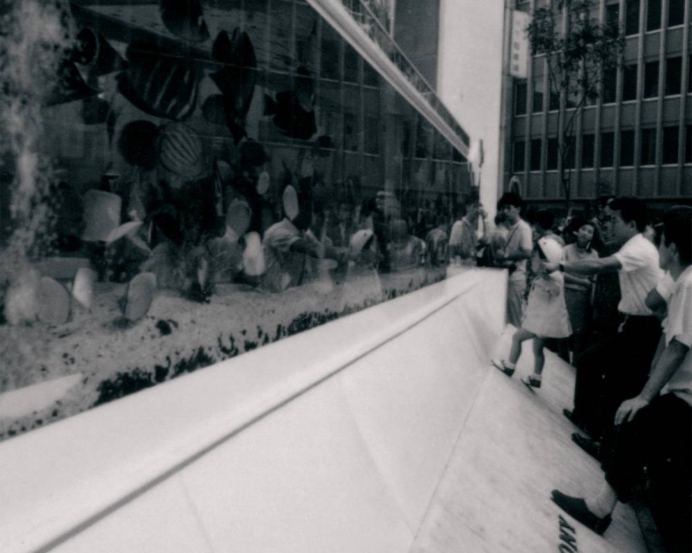 外観（モノトーン）。屋外に設置された巨大水槽に来街者が集まっている。小さな子どもを抱えて見せる父親の姿もある。