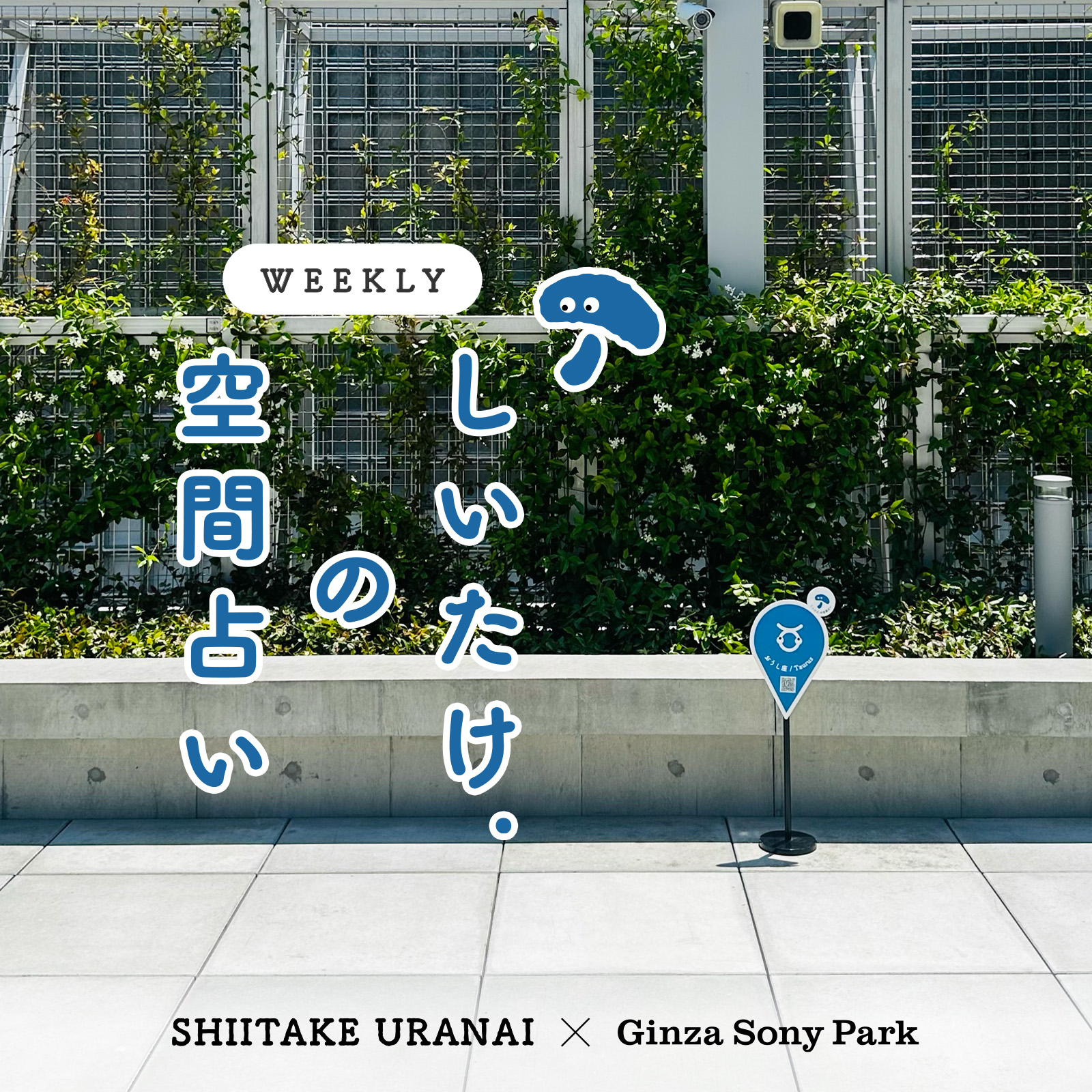 「しいたけ.の空間占い」のキービジュアル。空間占いのスポットサインが屋上の植栽の前に掲出されている。