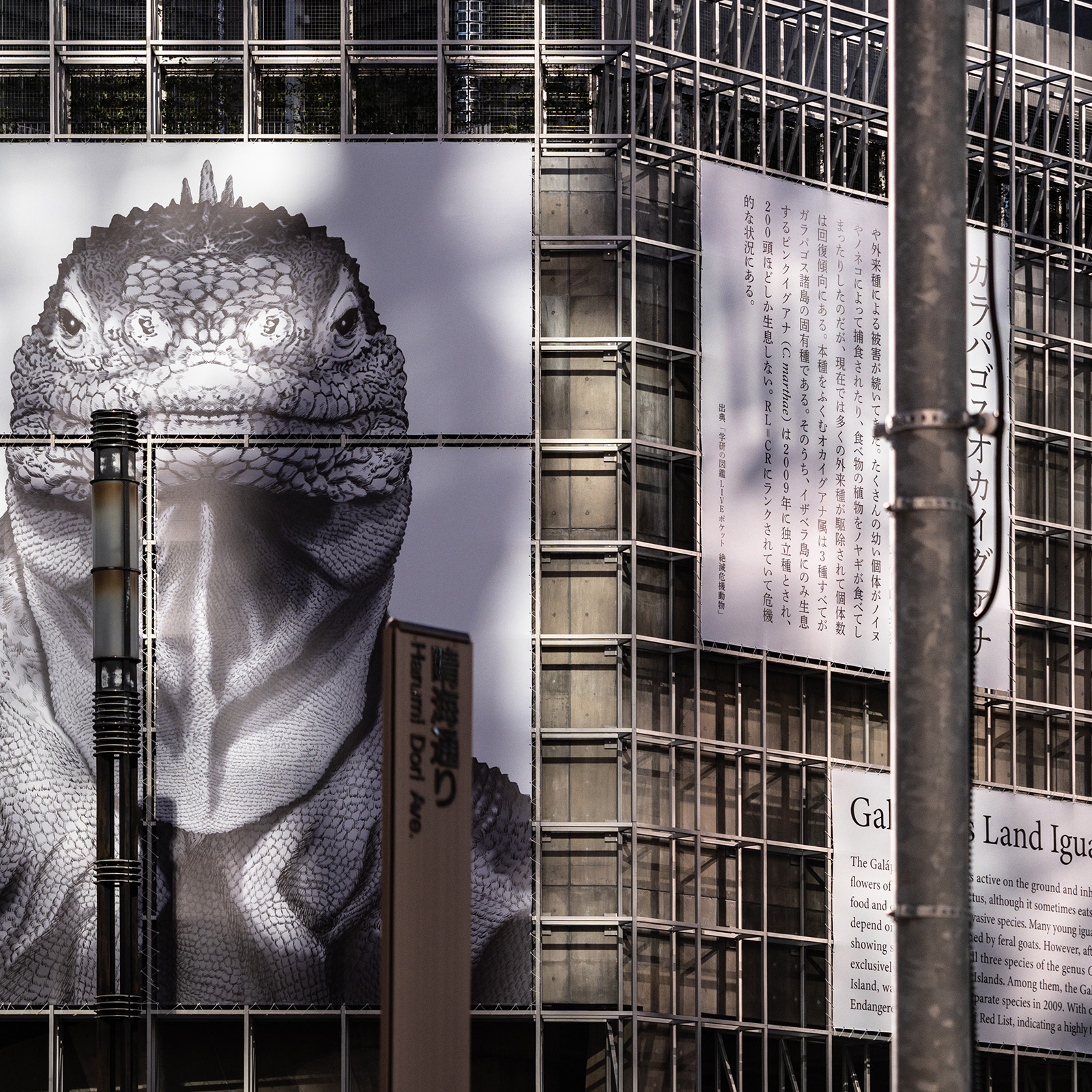 ガラパゴスイグアナの大きなビジュアルとが掲出されたGinza Sony Parkの外壁。