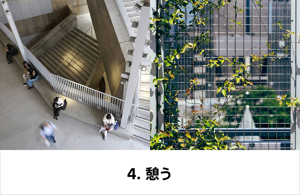 4. 憩う。コンクリートの吹き抜け階段を上から見下ろす光景と、金属格子に絡む緑のツタ。