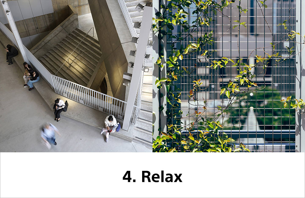 4. Relax. A top-down view of a concrete atrium staircase and green vines climbing a metal lattice.